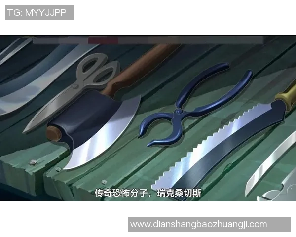 柔情鸟的传奇之路：从球场英雄到智慧教练的蜕变与探索